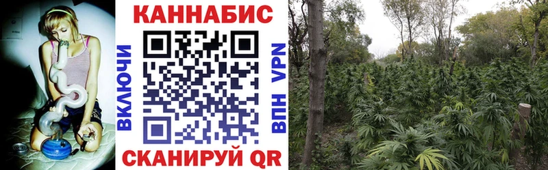 Каннабис THC 21%  как найти наркотики  Гдов 